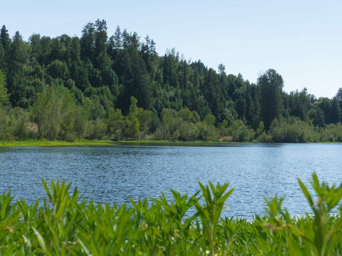 The lake at Riverfront Regional Park in Healdsburg. (Sonoma County Tourism)