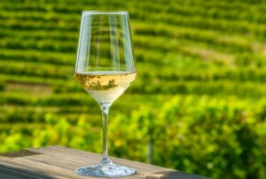 Close-up of a glass of white wine on a wooden table, with green vineyards in the background. Wine tasting, rating, and savoring Mazur Travel/Shutterstock.