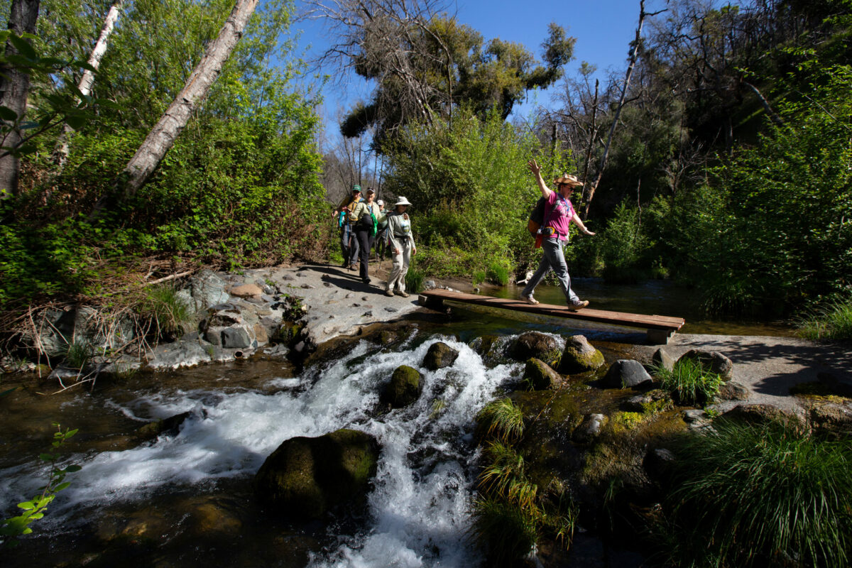 Hikers balance on wooden planks as they cross over Santa Rosa Creek, as they participate in Sonoma Ecology Center’s Headwaters to Headwaters 2025 benefit supporting Sugarloaf Ridge State Park, hiking from Hood Mountain Regional Park towards Sugarloaf Ridge State Park, in Santa Rosa, on Saturday, April 12, 2025. (Darryl Bush / For The Press Democrat)