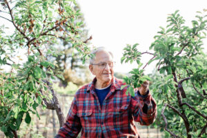 Rare fruit grower David Ulmer in the Sebastopol orchard he calls “Ulmer’s Acre.” (Eileen Roche / Sonoma Magazine)