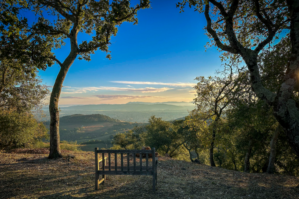 Valley views. (Ned Bonzi / Sotheby’s International Realty)