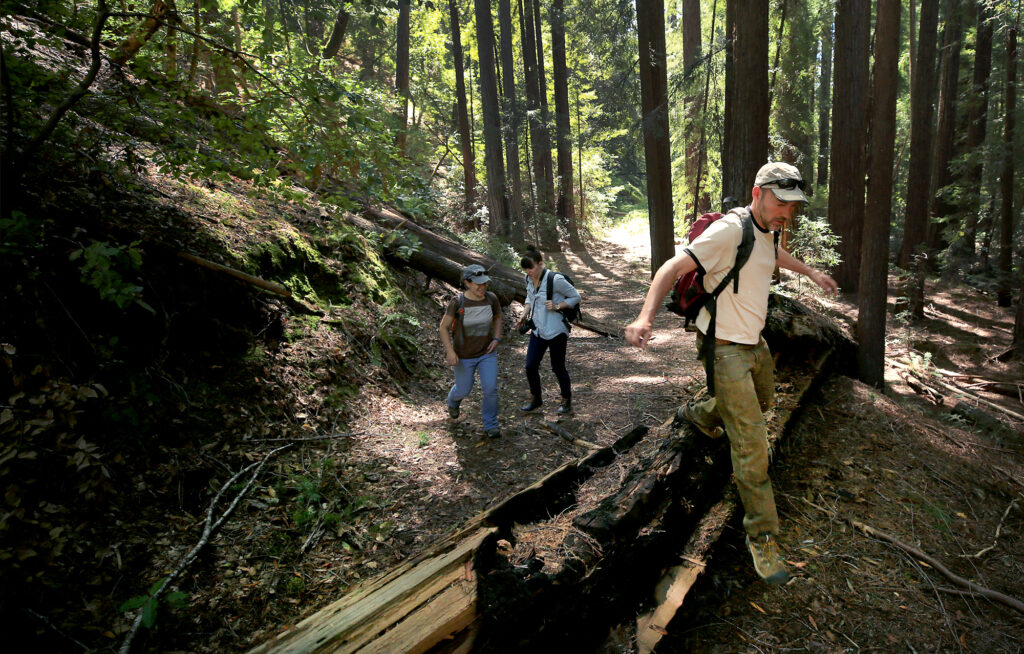 Ariel Patashnik, left, Amy Ricard and Bill Keene of the Sonoma County Agricultural Preservation and Open Space District navigate an old logging road in Howlett Forest, Monday May 1, 2017, near Annapolis. (Kent Porter / The Press Democrat) 2017