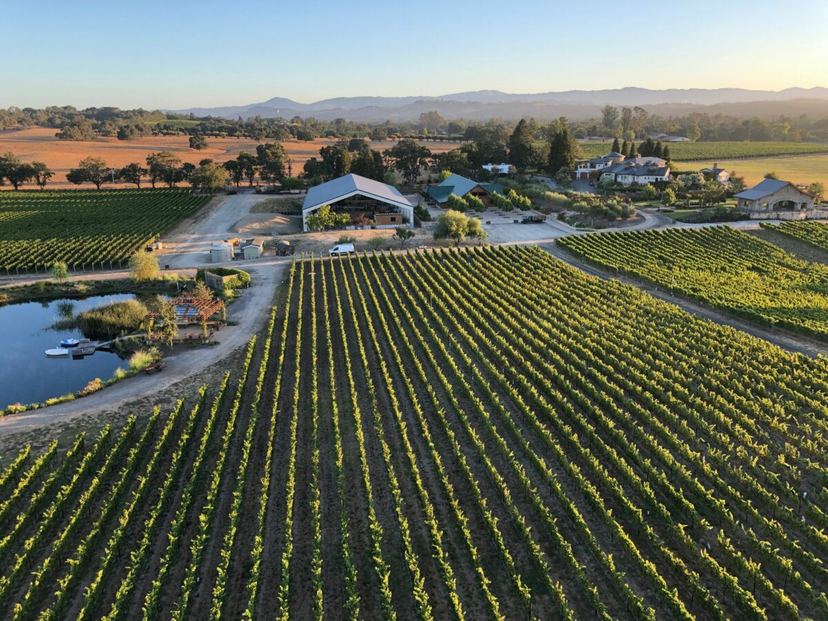 Bricoleur Vineyards in Windsor. (Bricoleur Vineyards)