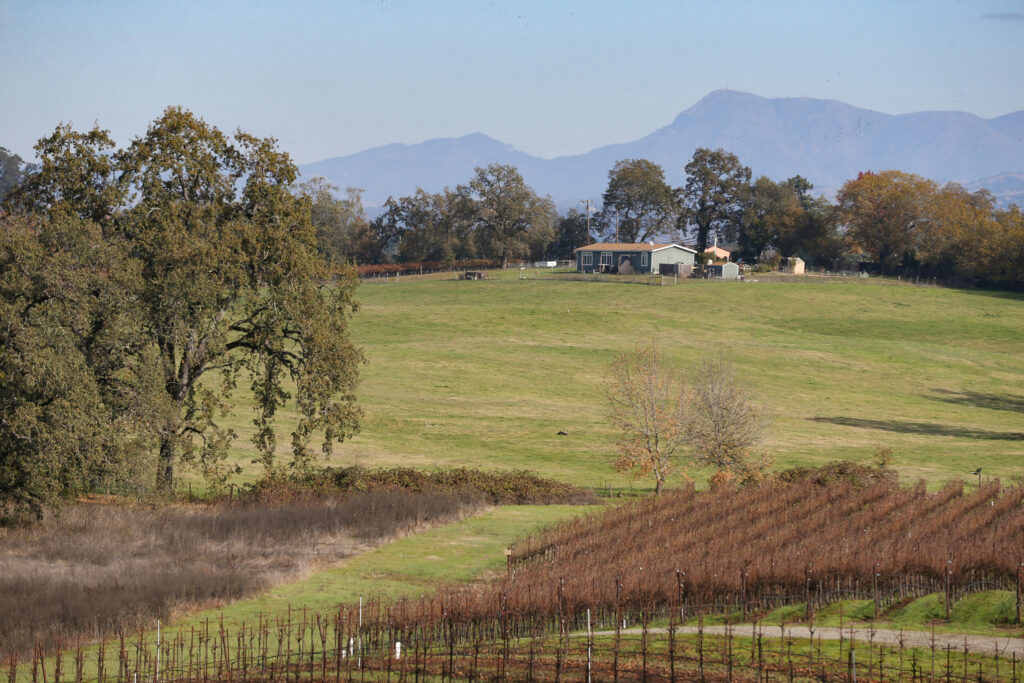 A portion of the Denner Ranch, as viewed from Lafranchi property, is part of a conservation easement project by Sonoma County Ag + Open Space, in Santa Rosa on Wednesday, November 29, 2023. (Christopher Chung/The Press Democrat)