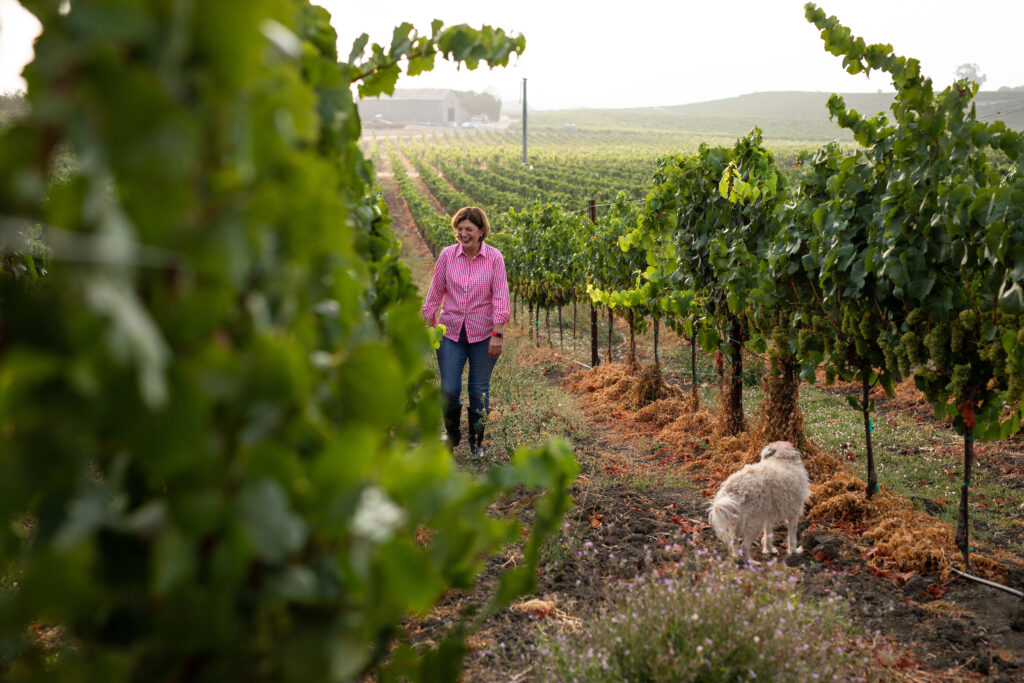 Napa Valley winemaker Paula Kornell. (Leigh Ann Beverley)