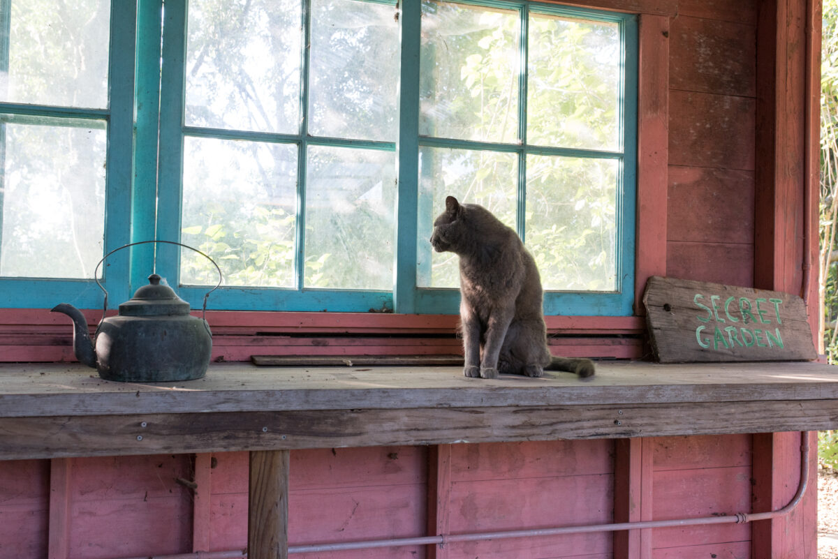 Find a moment of calm at Preston Farm & Winery in Healdsburg. (Jason Kalogiros)