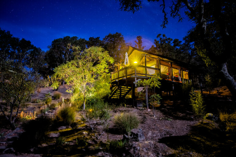 Glamping accommodations at Safari West in Santa Rosa. (Sonoma County Tourism)