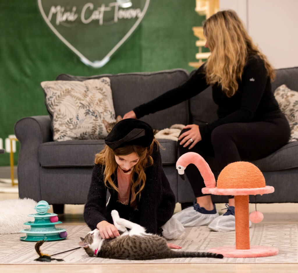 Heather, right, and her daughter, Hannah Green, took time out of their day to relax with cats at the Mini Cat Town in the Santa Rosa Plaza mall in Santa Rosa, Monday, May 1, 2023. (John Burgess / The Press Democrat)