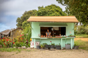 The Stony Point Strawberry stand in north Petaluma Wednesday, May 15, 2024. (John Burgess/The Press Democrat)