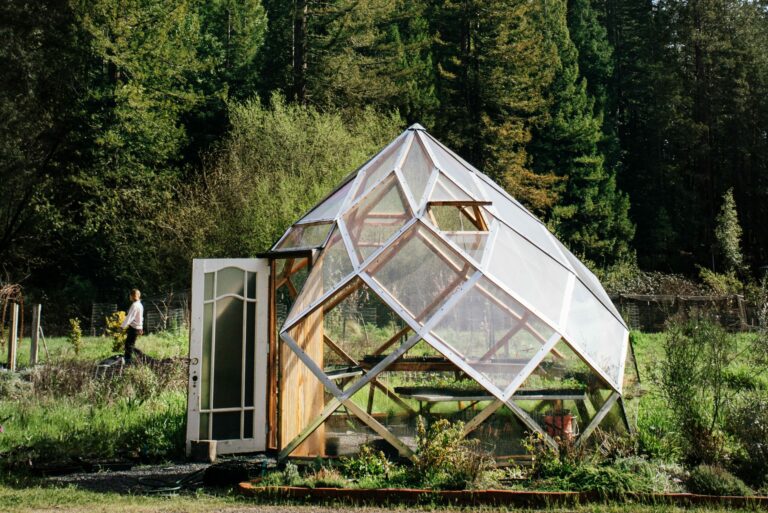 The space-age greenhouse, built by the couple with help from family, has become a local landmark in Guerneville. (Eileen Roche / Sonoma Magazine)