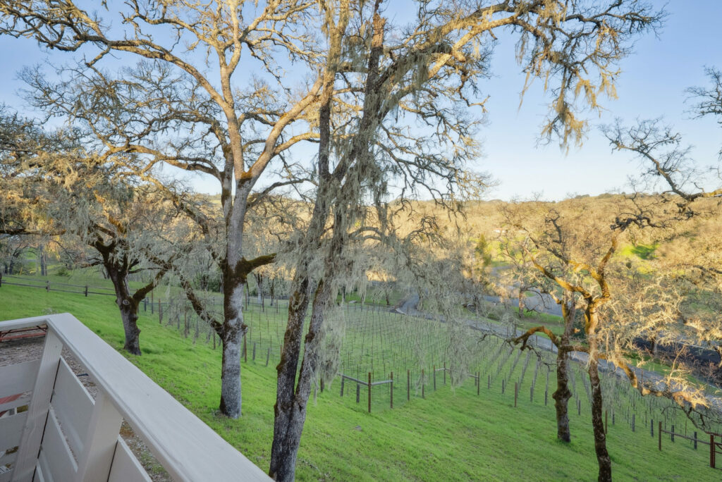 Vineyard view from the deck. (Open Homes Photography)