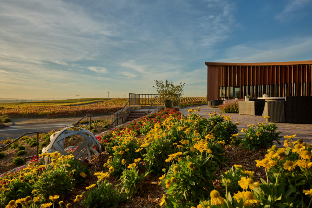 Napa's Bouchaine Vineyards, a Pinot Noir specialist, offers an array of fun experiences, from terrace tastings to falconry demonstrations. (Bouchaine Vineyards)