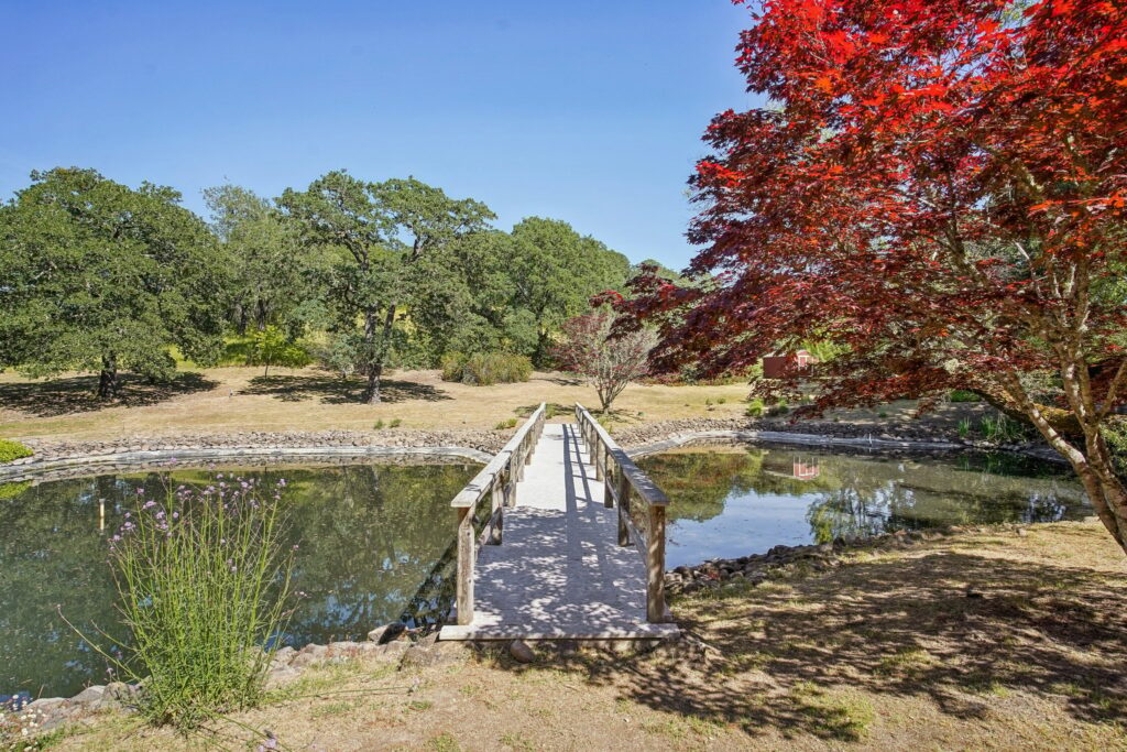 Pond and footbridge. (Zillow Media Experts / Sotheby’s International Realty)