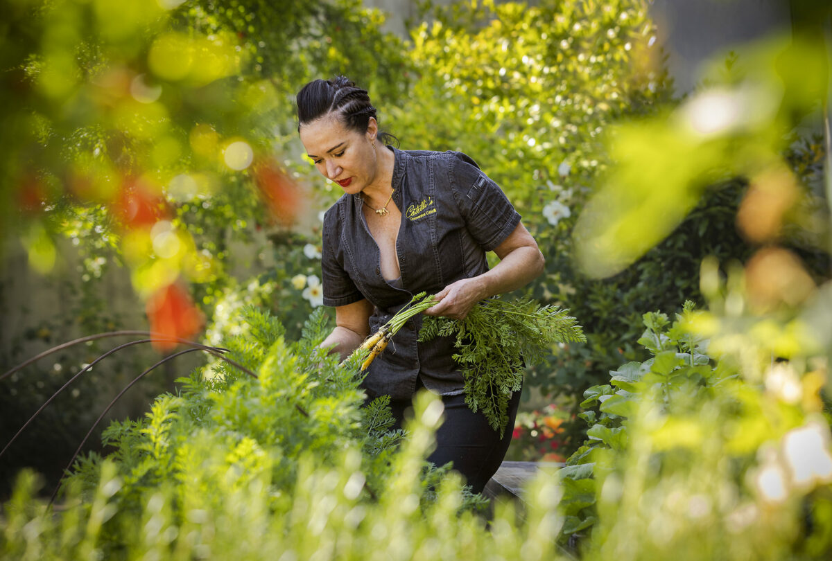 Chef Domenica Catelli will use fresh items from her Geyserville restaurant garden when she cooks with a guest chef, Maneet Chauvan, at the opening reception of the Healdsburg Food & Wine Experience. (John Burgess/The Press Democrat)