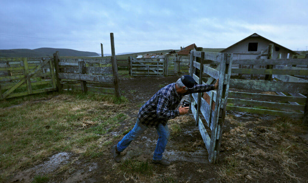 Rancher Kevin Lunny opens a gate in preparation for his family’s final roundup of cattle, Saturday, May 17, 2025, at Point Reyes National Seashore. (Kent Porter / The Press Democrat)