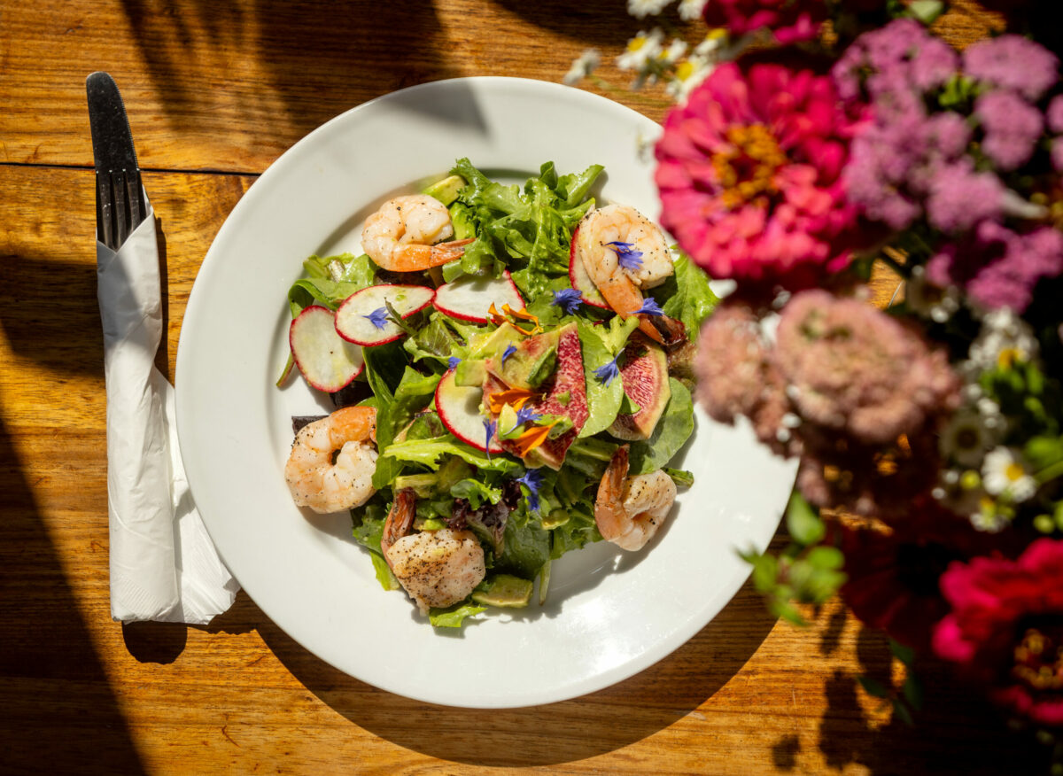 Prawn Salad with radish, avocado and lemon champagne vinaigrette from Water Street Bistro Thursday, August 29, 2025 in Petaluma. (John Burgess / The Press Democrat)