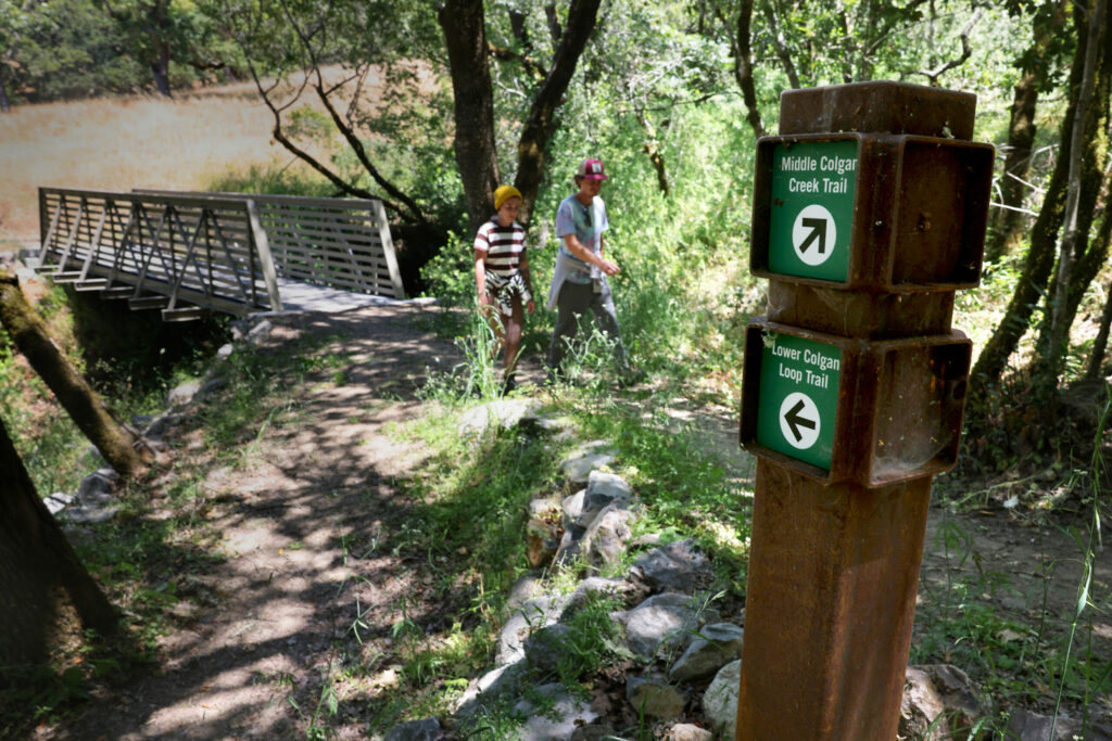 Bec Wilson, left, and Travis Havmeyer walk the Lower Colgan Loop Trail at Taylor Mountain Regional Park & Open Space Preserve in Santa Rosa Tuesday, June 10, 2025. (Beth Schlanker / The Press Democrat)