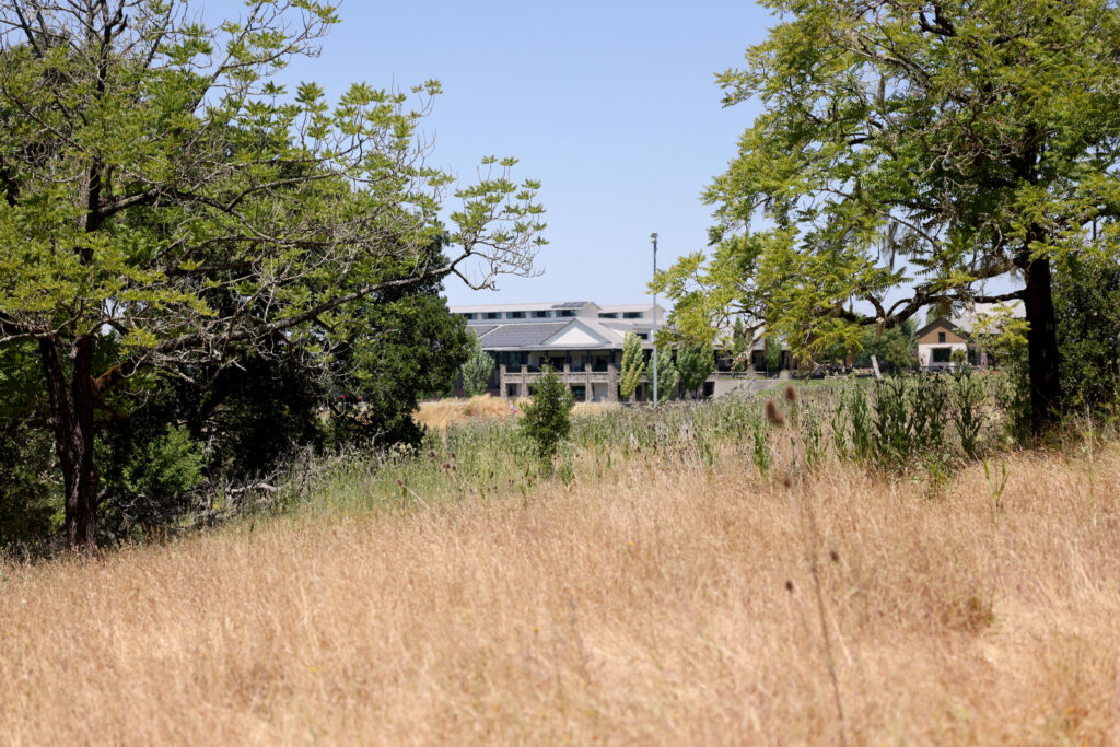A view of Sonoma Academy from the Lower Colgan Loop Trail at Taylor Mountain Regional Park & Open Space Preserve in Santa Rosa Tuesday, June 10, 2025. (Beth Schlanker / The Press Democrat)