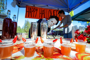 Hand-crafted cocktails made during the Wizards of Elixirs Cocktail Competition in 2024. This year's Wizards of Elixirs competition will take place Oct. 28 at Brewsters Beer Garden in Petaluma. (Courtesy)