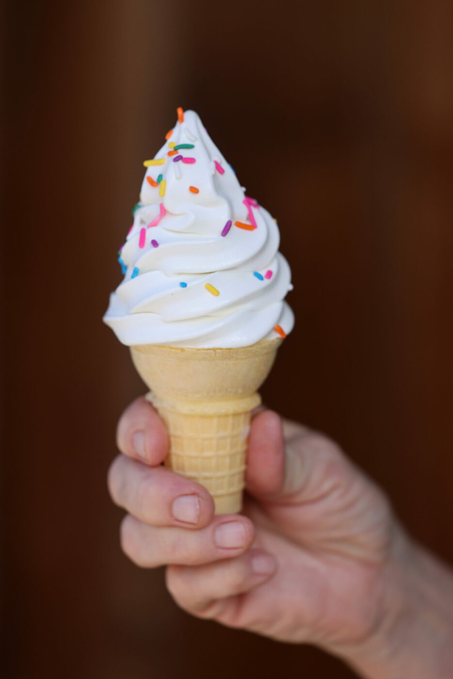 Vanilla soft serve at the Valley Ford Cheese and Creamery in Valley Ford Thursday, July 31, 2025. (Beth Schlanker / The Press Democrat)