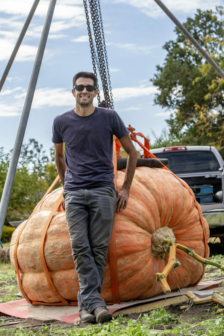 Brandon Dawson of Santa Rosa has two giant pumpkins growing in his yard. One is 1,600 pounds and one is 2,200 pounds. He plans to take it to Half Moon Bay for the legendary giant pumpkin contest held every year. Dawson shows off his smaller 1,600-pound pumpkin before loading it into his truck for a weigh-off Oct. 4, 2024. (Chad Surmick / The Press Democrat)