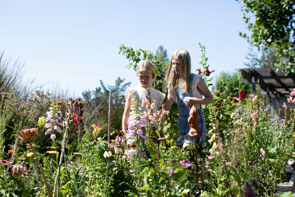 The Hobbs family's garden brimming with seasonal flowers. (Eileen Roche / for Sonoma Magazine)
