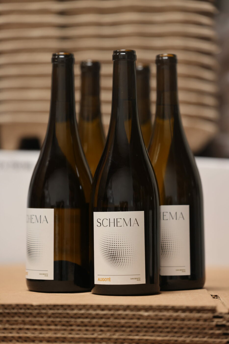 Madelyn Hille pursued a long-held passion to make wine and launched her own label, Schema Wines, in 2023. Her Cabernet Franc is already on the wine list at Enclos, a two-Michelin star restaurant in Sonoma. (Beth Schlanker / for Sonoma Magazine)