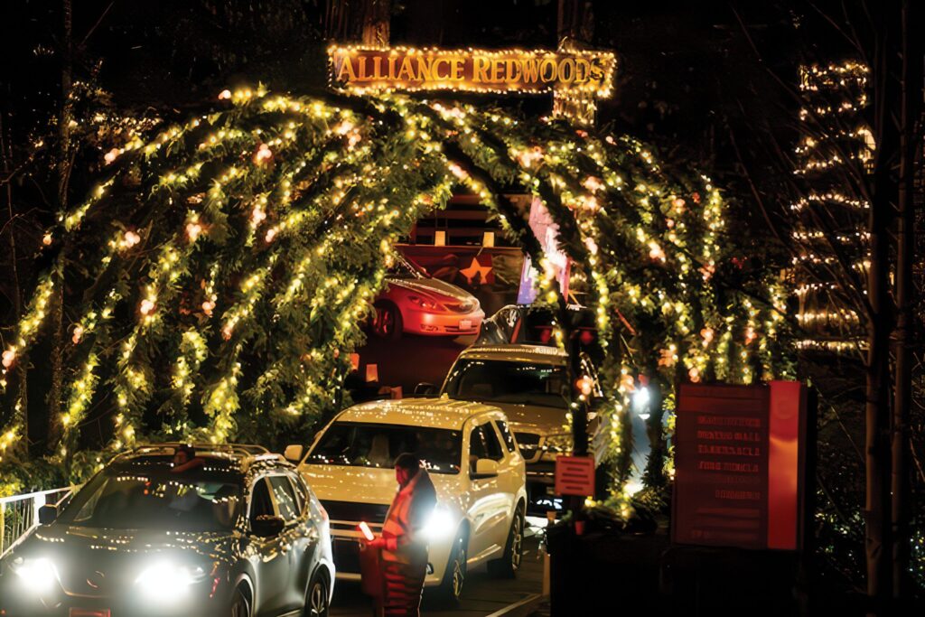 Occidental's popular Christmas in the Redwoods gets packed with crowds. (Sonoma County Tourism)
