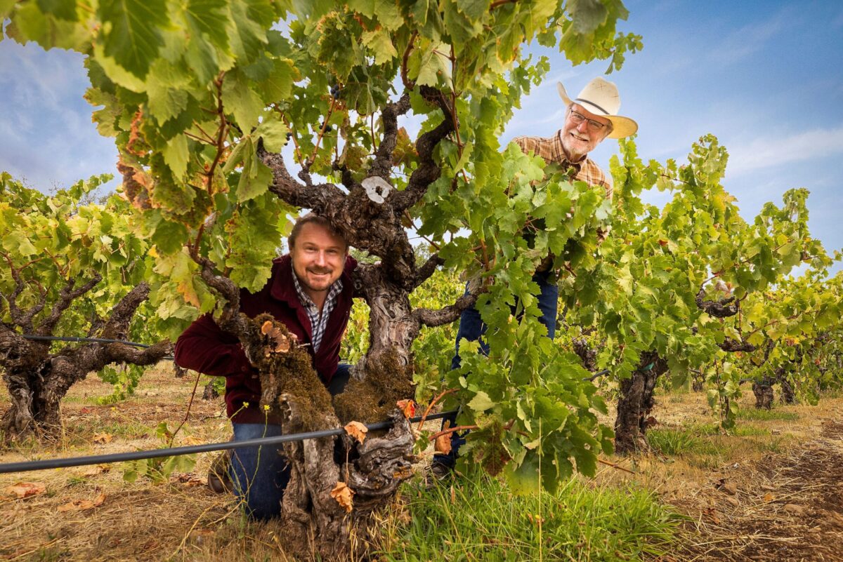 When Joel Peterson, right, discovered ancient vines planted in 1888 were going to be removed and replanted with Cabernet Sauvignon, he swooped in and purchased 152 acres of ancient vines. Now his son Morgan Twain-Peterson, left, produces wines from the vines with Bedrock Wine Company while Joel uses some of the grapes in his Once and Future Wine label September 21, 2022. (John Burgess/The Press Democrat)