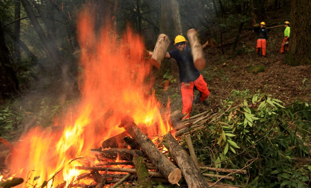Scott Keneally feeds a pile burn in the hills above Geyserville as part of Northern Sonoma County's fuel reduction program, Jan. 12, 2021. (Kent Porter / The Press Democrat)