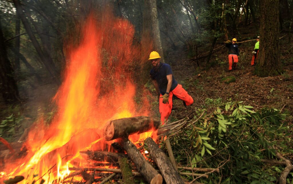 Scott Keneally feeds a pile burn in the hills above Geyserville as part of Northern Sonoma County's fuel reduction program, Jan. 12, 2021. (Kent Porter / The Press Democrat) 