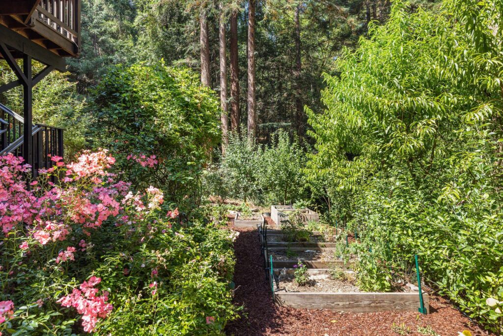 Raised beds on the grounds. (Open Homes Photography)