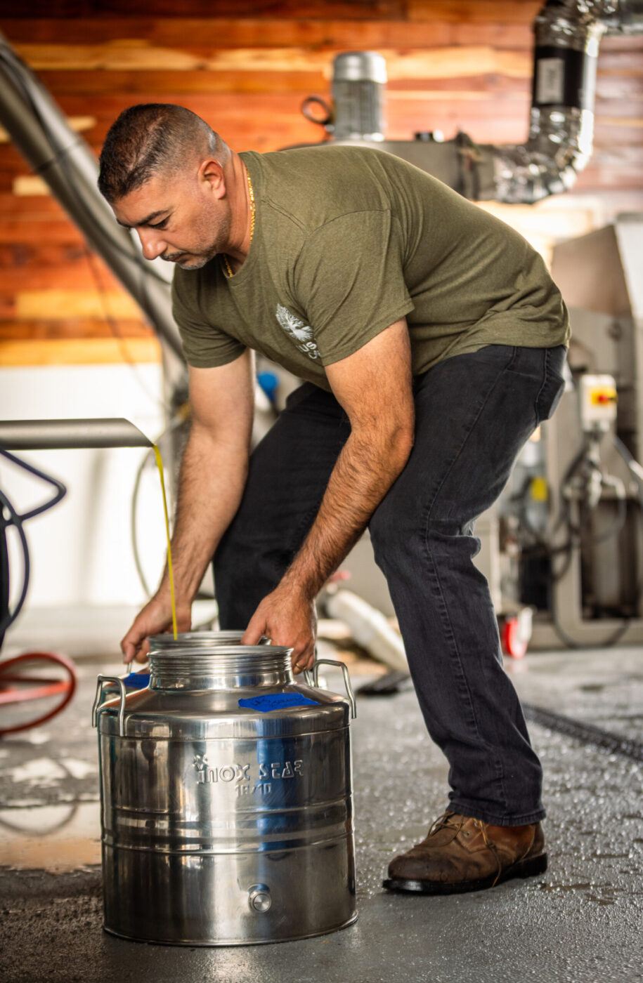 Husary Olive Oil owner Mousa Husary pulls a full container of freshly pressed olive oil for a customer at his Sebastopol olive oil company Friday, Oct. 30, 2025. Husary mills tons of olives from Sonoma County and the Central Valley at his home business west of Graton. (John Burgess / The Press Democrat)