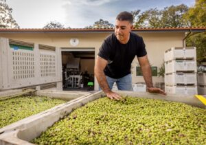 Husary Olive Oil owner Mousa Husary