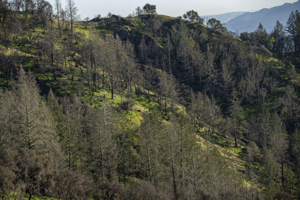 Views of the surrounding hills during a tour of newly acquired Cougar Landing in Hood Mountain Regional Park on Tuesday February 8, 2022. (Chad Surmick / The Press Democrat)