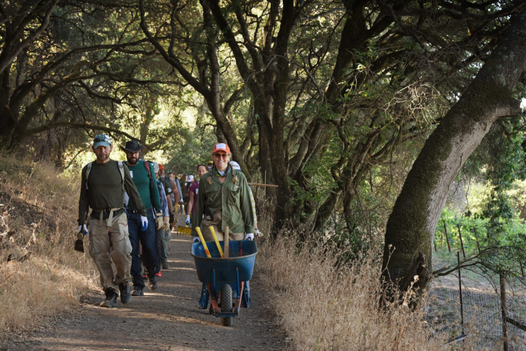 A group of Volunteers for Outdoor California heading out to do some repair work from winter storm damage and erosion maintenance on the Creekside Trail on Saturday at Shiloh Ranch Regional Park in Windsor, July 13, 2019. (Erik Castro/for The Press Democrat)