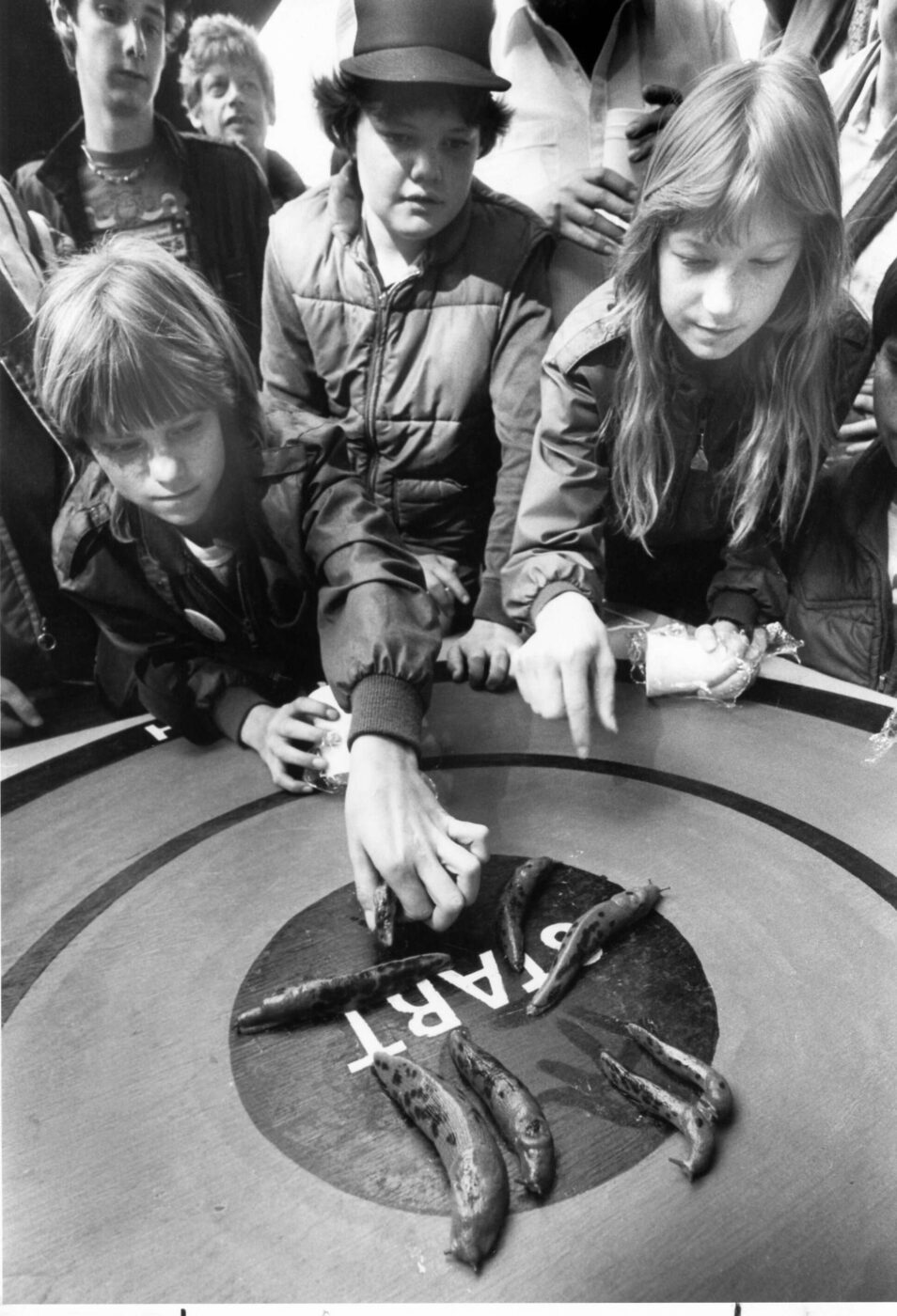 Tiffany Leone, left, and Tammy Muench prepare their slugs for the first round of the slug race competition during Slug Fest on March 11, 1984. (The Press Democrat)