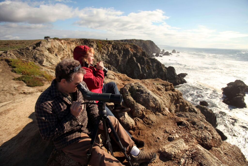 Locals try to catch a glimpse of the whales migrating down the coast at Bodega Head. (Christopher Chung/ The Press Democrat, 2013)