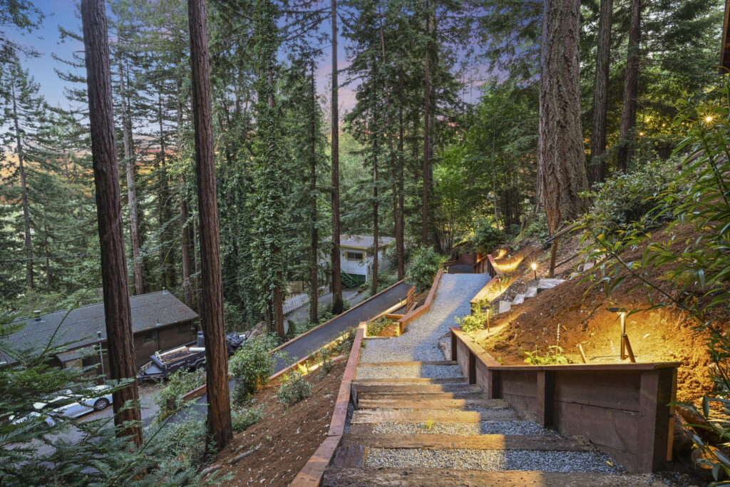 Pathway. (Jesse West)