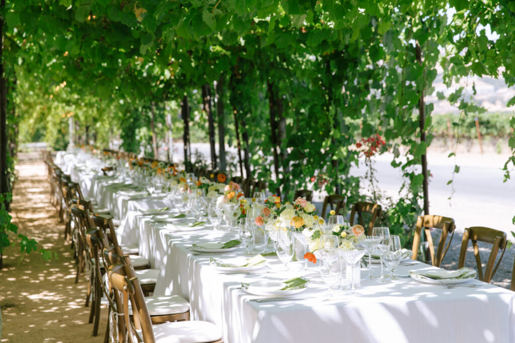 Sanjana and Evan's wedding took place among the lush ivies and vines at Trentadue Winery in Geyserville. (Katie Miller)