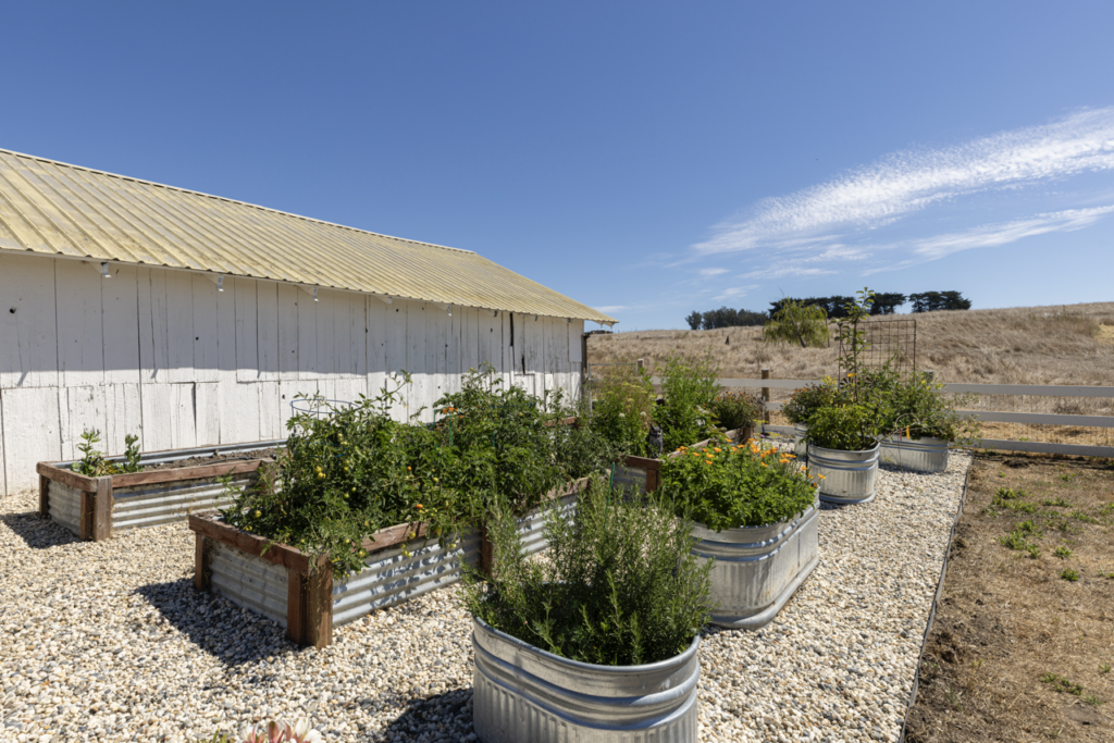 Raised beds. (Jack Hecker Photography)