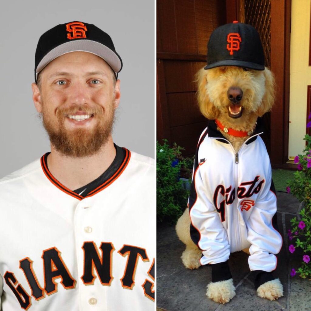 Winery dog Lord Sandwich and SF Giant player HUnter Pence