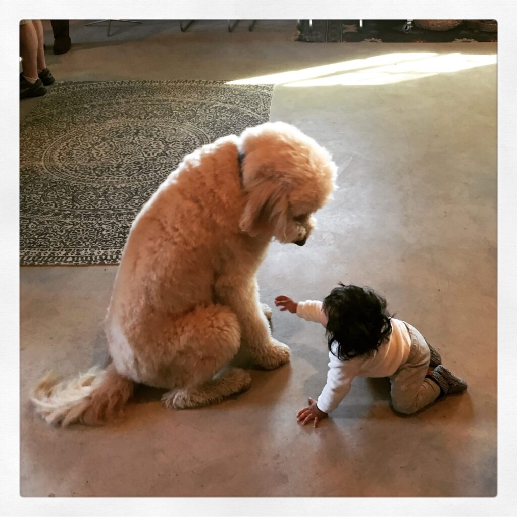 Lord Sandwich often entertained guests at the Smith Story Wine Cellars tasting room in Healdsburg.