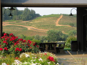 At Dutcher Crossing Winery in Geyserville, vineyard-facing tables sit in a covered breezeway, beneath a pergola, on a paved patio and alongside a pétanque court. Wine Country doesn’t get much prettier than this. (Dutcher Crossing Winery)