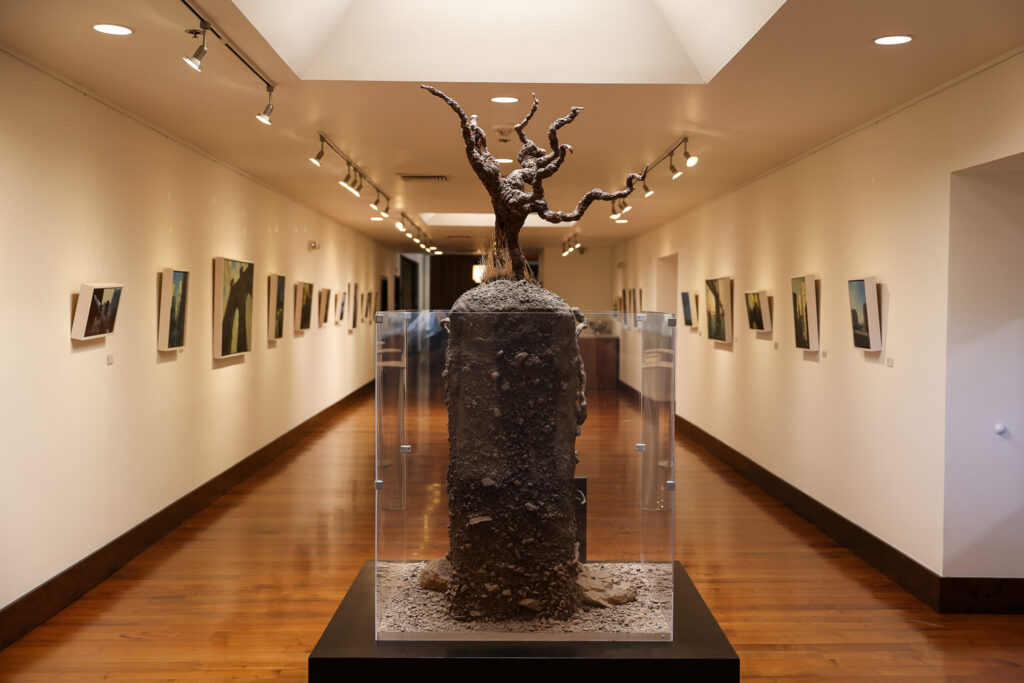 A display educates visitors on the importance of soil for vines at St. Supéry Estate Vineyards & Winery in Rutherford on Friday, January 30, 2026. (Christopher Chung/The Press Democrat)