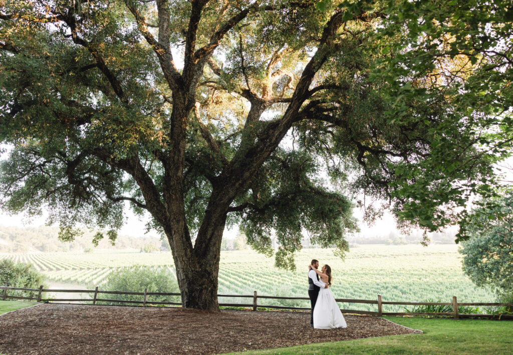The couple embraces beneath the cool shade of a majestic oak tree. (Ashley Carlascio)