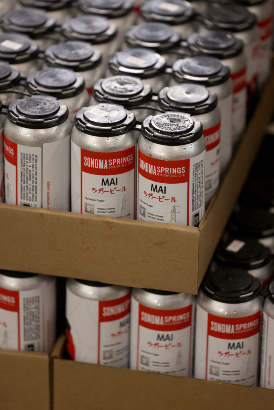 Cans of Mai Japanese Lager fresh off the canning line at Sonoma Springs Brewing Co. in Sonoma Tuesday, Feb. 3, 2026. (Beth Schlanker / The Press-Democrat)