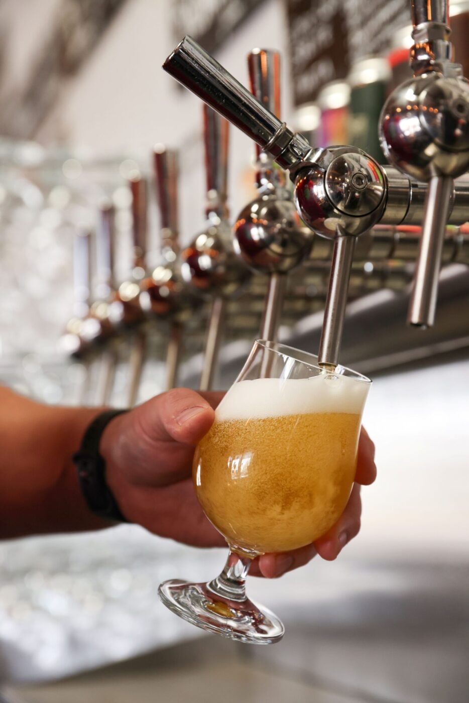 Pils on tap at Parliament Brewing Company in Rohnert Park on Wednesday, February 11, 2026. (Christopher Chung/The Press Democrat)