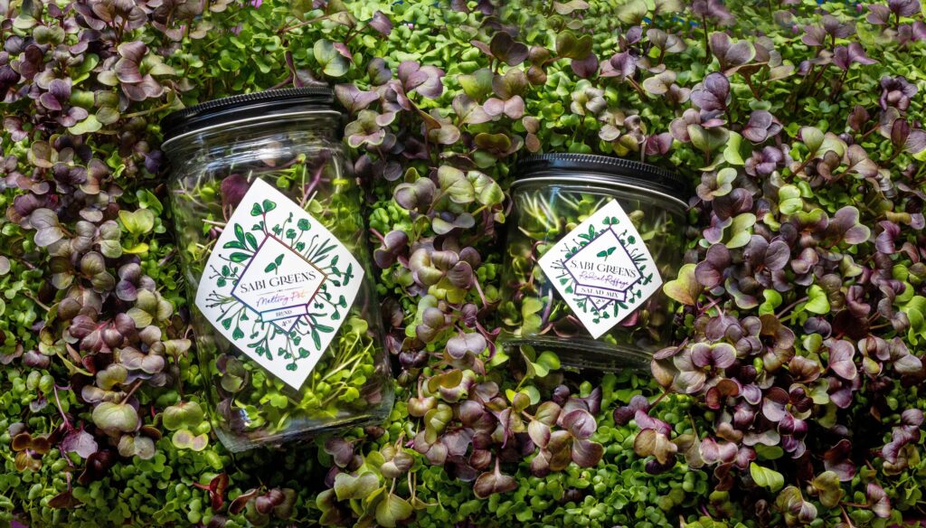 Erica Bergere, owner of Sabi Greens, runs her microgreen "farm" from her garage in suburban Santa Rosa Thursday, Jan. 22, 2026. (John Burgess / The Press Democrat)
