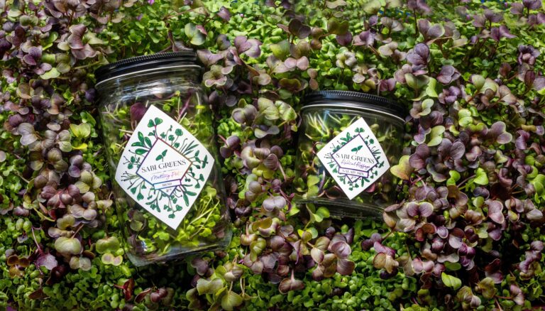Erica Bergere, owner of Sabi Greens, runs her microgreen "farm" from her garage in suburban Santa Rosa Thursday, Jan. 22, 2026. (John Burgess / The Press Democrat)